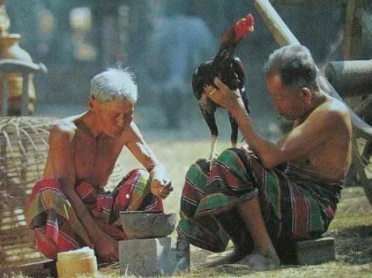 Sejarah Tajen Bali