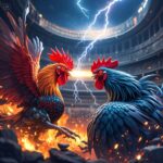 Makna Sabung Ayam
